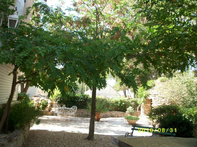 photo 20 Location entre particuliers Montpellier gite Languedoc-Roussillon Hrault Jardin