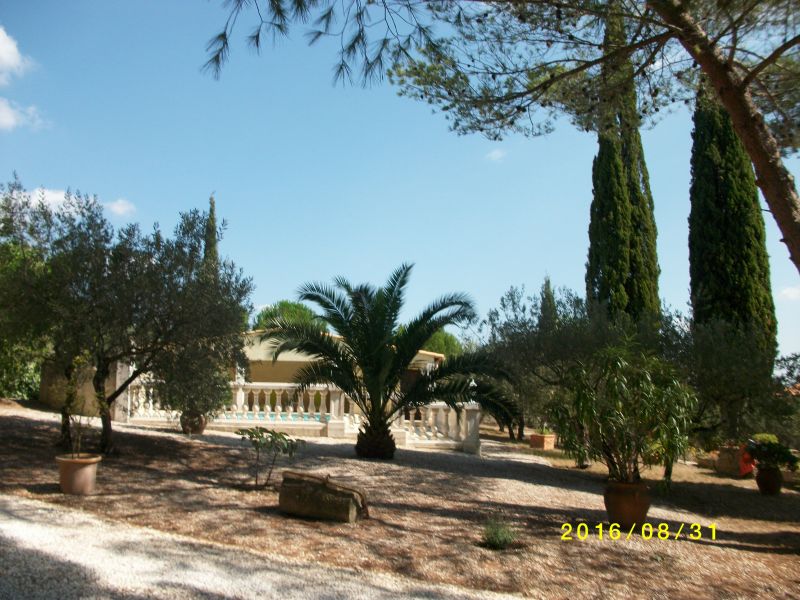 photo 22 Location entre particuliers Montpellier gite Languedoc-Roussillon Hrault Jardin