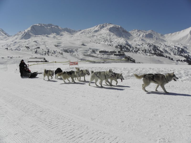 photo 24 Location entre particuliers La Plagne studio Rhne-Alpes Savoie Vue  proximit