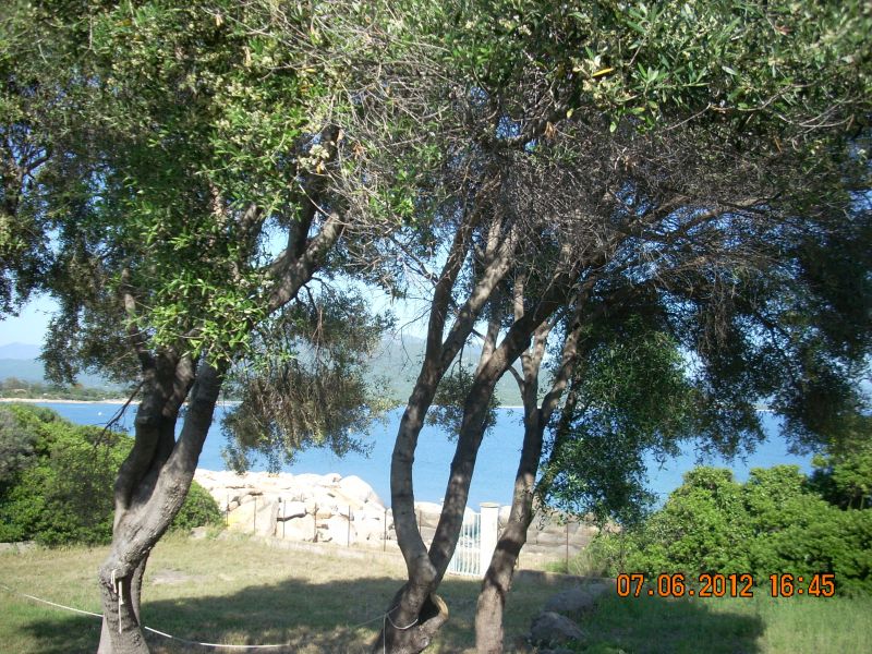 photo 3 Location entre particuliers Porto Pollo villa Corse Corse du Sud Vue de la terrasse