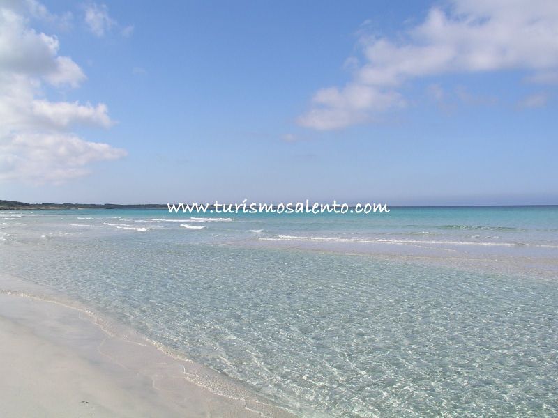 photo 22 Location entre particuliers Gallipoli studio Pouilles Lecce (province de) Plage