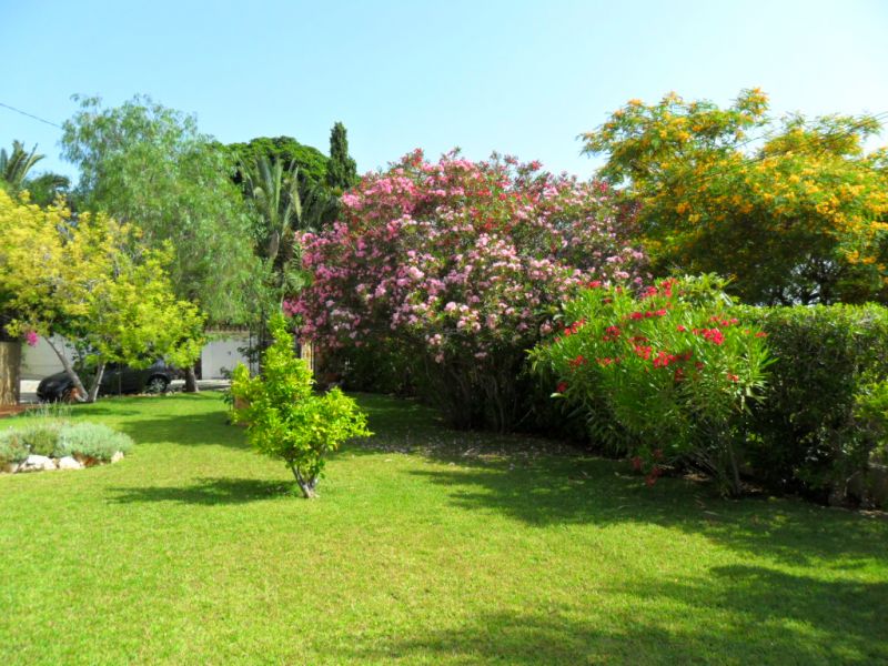 photo 25 Location entre particuliers Jvea villa Communaut Valencienne Alicante (province de) Jardin