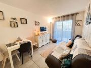 Locations vacances: appartement n 119527