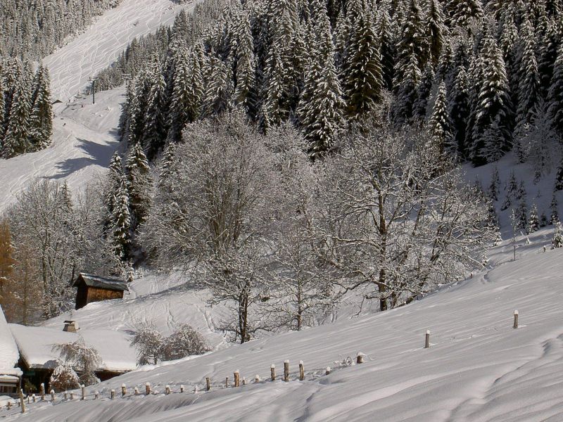 photo 2 Location entre particuliers Chtel chalet Rhne-Alpes Haute-Savoie Vue depuis la location