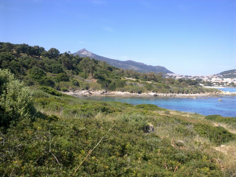 photo 1 Location entre particuliers Ile Rousse appartement Corse Haute-Corse Vue  proximit