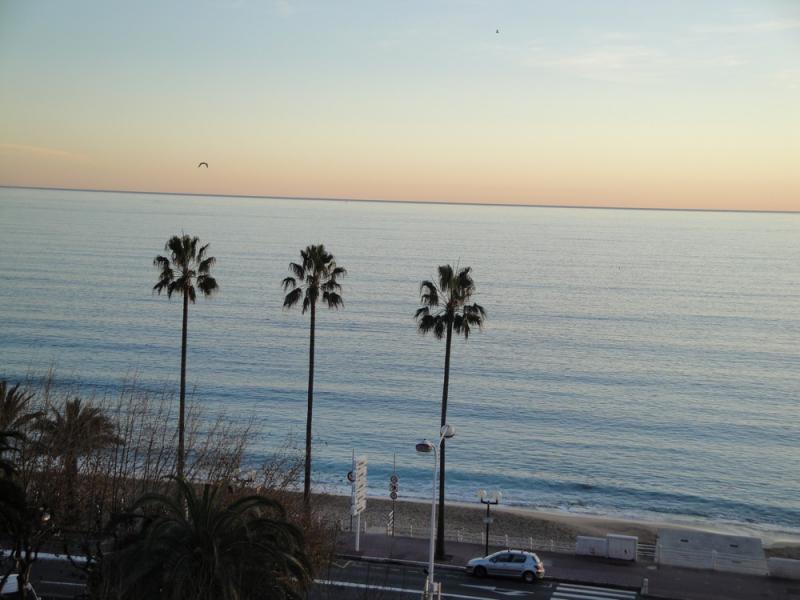 photo 9 Location entre particuliers Cannes appartement Provence-Alpes-Cte d'Azur Alpes-Maritimes Vue du balcon