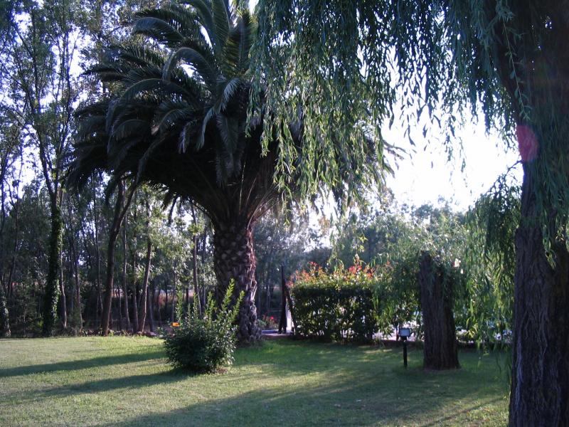 photo 19 Location entre particuliers Hyres villa Provence-Alpes-Cte d'Azur Var Jardin