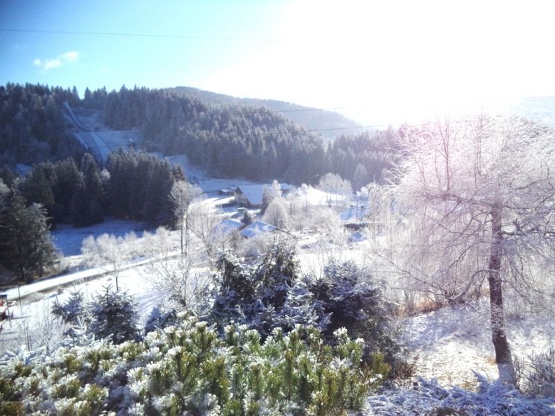 photo 26 Location entre particuliers Grardmer chalet Lorraine Vosges Vue du balcon