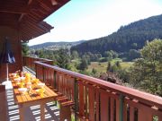 Locations vacances Vosges pour 4 personnes: chalet n 77741