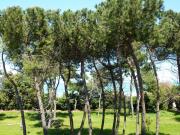 Locations vacances vue sur la mer Zone De Production Du Montepulciano: appartement n 87229