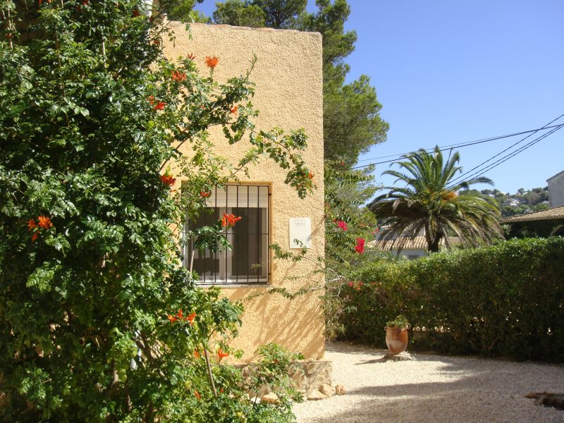 photo 12 Location entre particuliers Jvea villa Communaut Valencienne Alicante (province de) Jardin