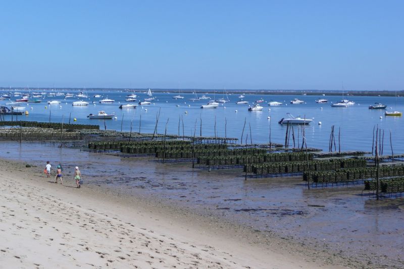 photo 23 Location entre particuliers Arcachon appartement Aquitaine Gironde Vue  proximit