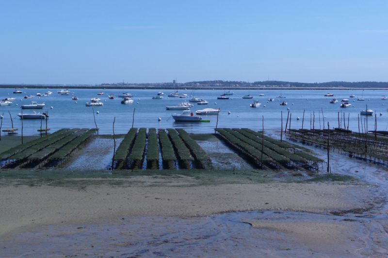 photo 24 Location entre particuliers Arcachon appartement Aquitaine Gironde Vue  proximit