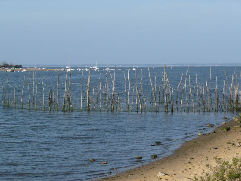 photo 12 Location entre particuliers Arcachon appartement Aquitaine Gironde Vue extrieure de la location