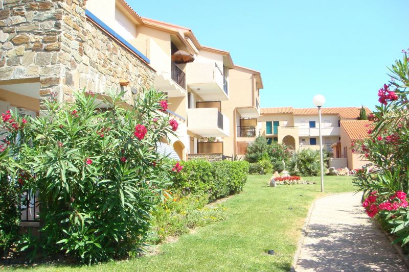 photo 9 Location entre particuliers Collioure appartement Languedoc-Roussillon Pyrnes-Orientales