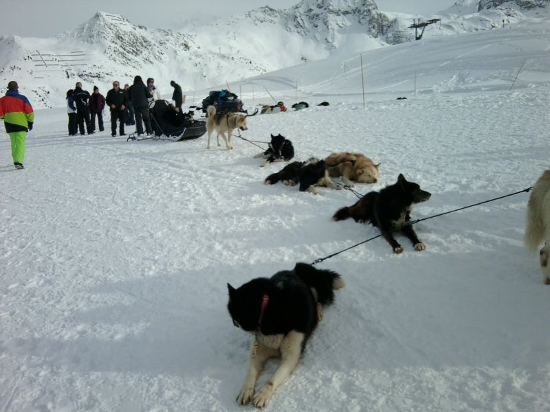 photo 18 Location entre particuliers La Plagne appartement Rhne-Alpes Savoie Vue autre