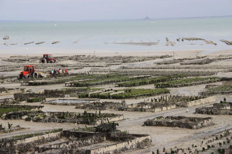 photo 26 Location entre particuliers Dinard gite Bretagne Ille et Vilaine Vue autre