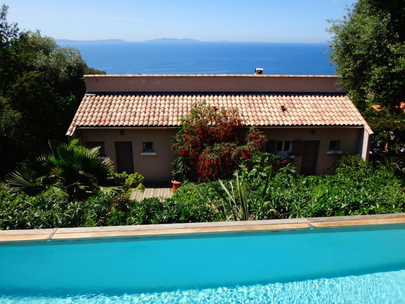 photo 11 Location entre particuliers Rayol Canadel sur Mer appartement Provence-Alpes-Cte d'Azur Var Piscine