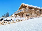 Locations station de ski Vosges: chalet n 120066