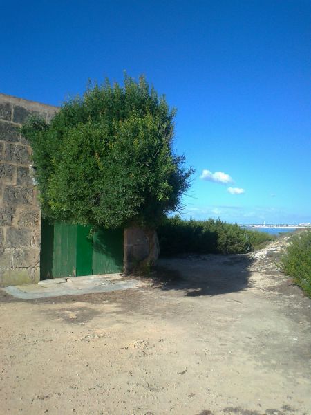 photo 6 Location entre particuliers Campos maison Balares Majorque Vue extrieure de la location