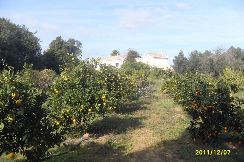 photo 24 Location entre particuliers Armao de Pera gite Algarve