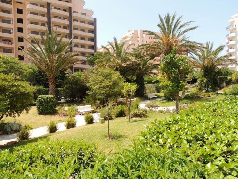 photo 2 Location entre particuliers Portimo appartement Algarve  Jardin