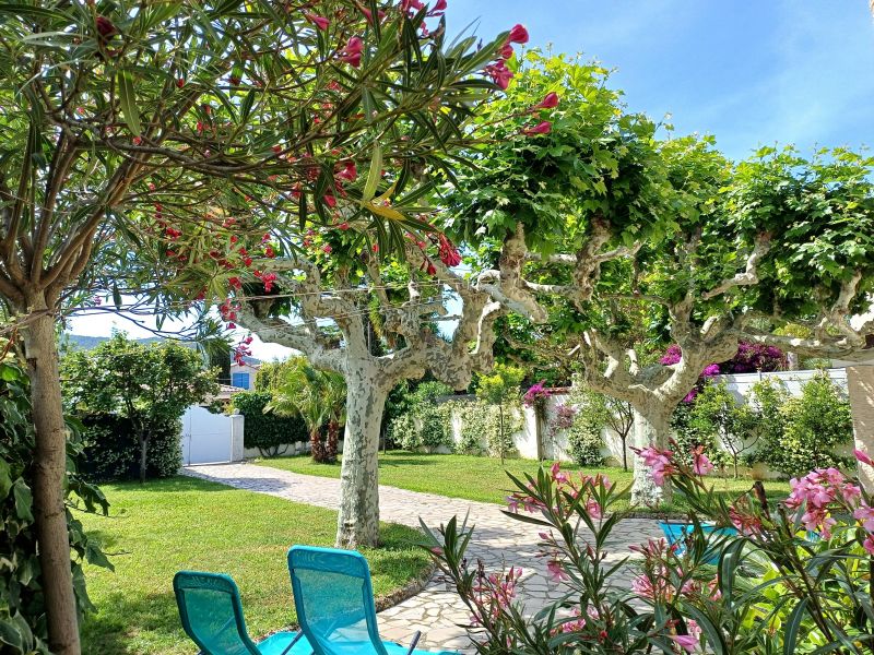 photo 2 Location entre particuliers Saint Cyr sur Mer villa Provence-Alpes-Cte d'Azur Var Jardin