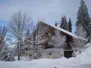 Locations station de ski: appartement n 88530