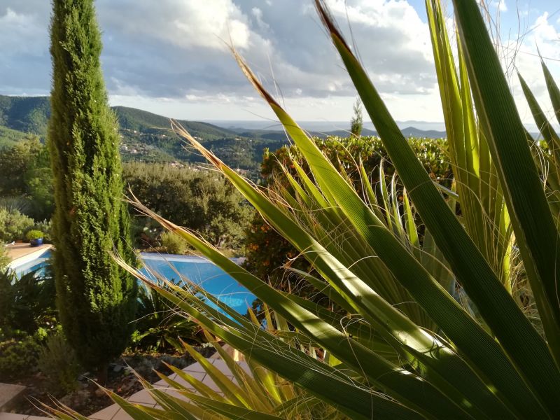 photo 27 Location entre particuliers La Londe-les-Maures villa Provence-Alpes-Cte d'Azur Var Jardin