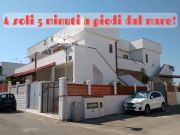 Locations vacances: appartement n 110788