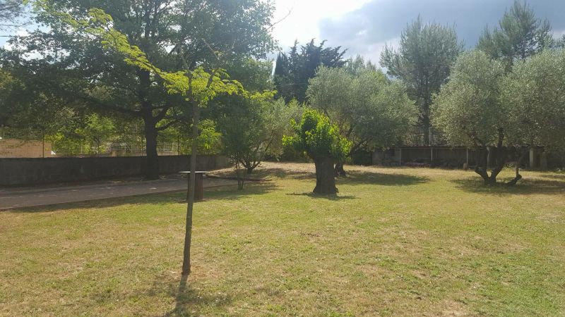 photo 12 Location entre particuliers Saint Maximin la Sainte Baume villa Provence-Alpes-Cte d'Azur Var Jardin