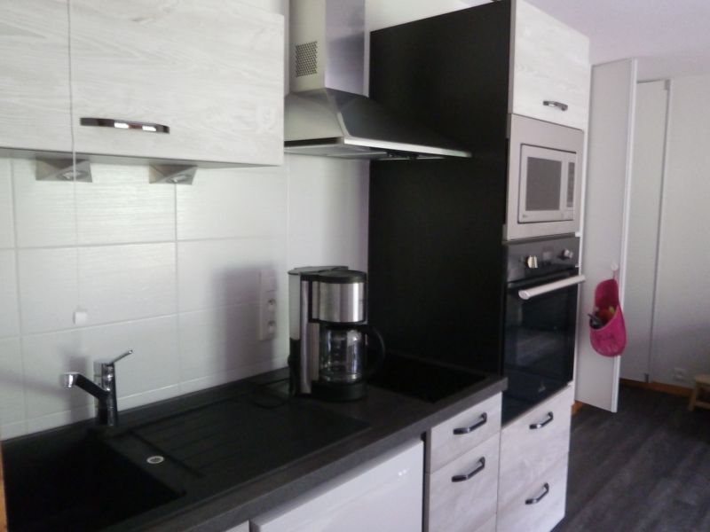 photo 3 Location entre particuliers Thollon Les Mmises appartement Rhne-Alpes Haute-Savoie Coin cuisine