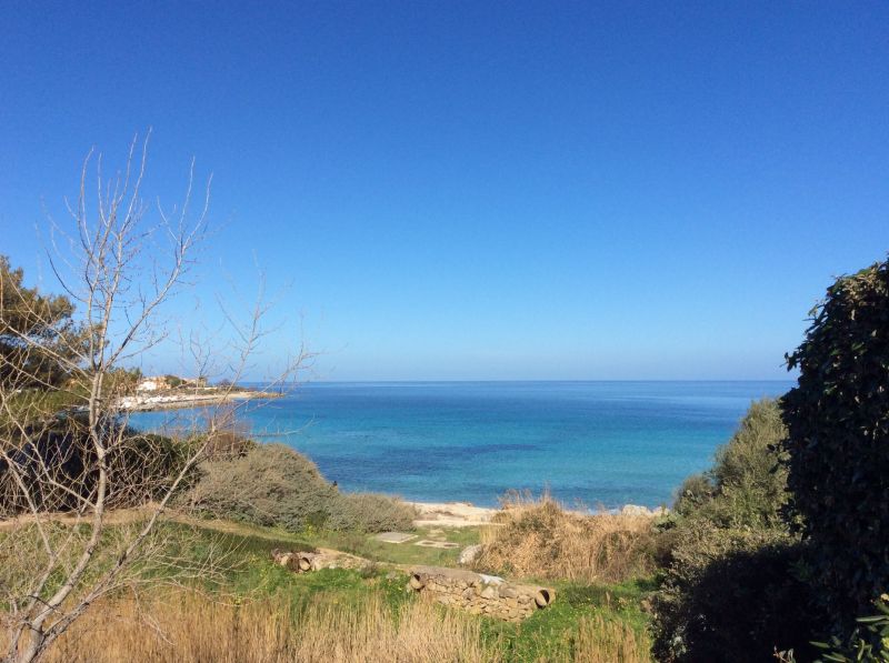 photo 4 Location entre particuliers Lumio appartement Corse Haute-Corse Vue de la terrasse