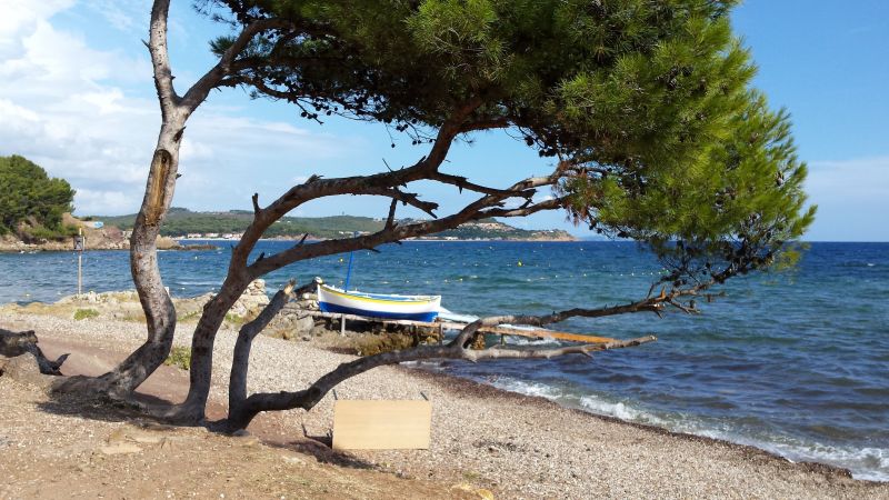 photo 17 Location entre particuliers La Seyne sur Mer gite Provence-Alpes-Cte d'Azur Var Vue autre