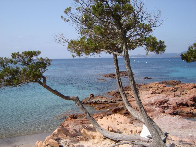 photo 20 Location entre particuliers Porto Vecchio appartement Corse Corse du Sud Plage