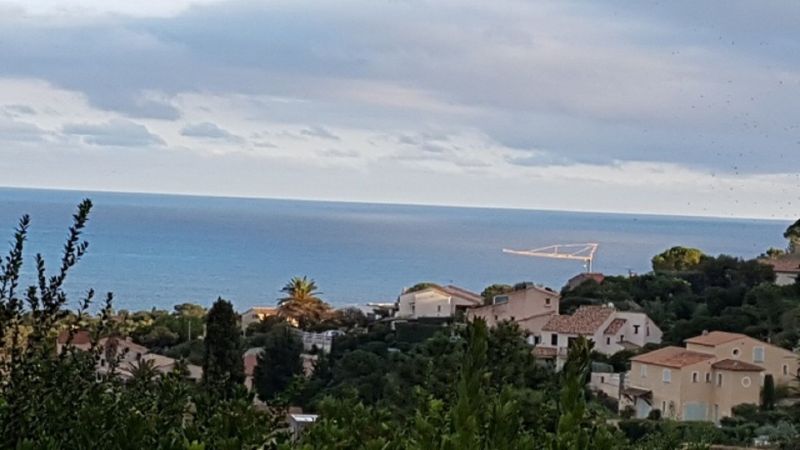 photo 8 Location entre particuliers Saint Aygulf villa Provence-Alpes-Cte d'Azur Var