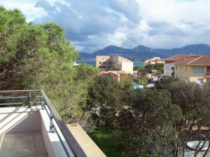 photo 9 Location entre particuliers Calvi appartement Corse Haute-Corse Vue depuis la location