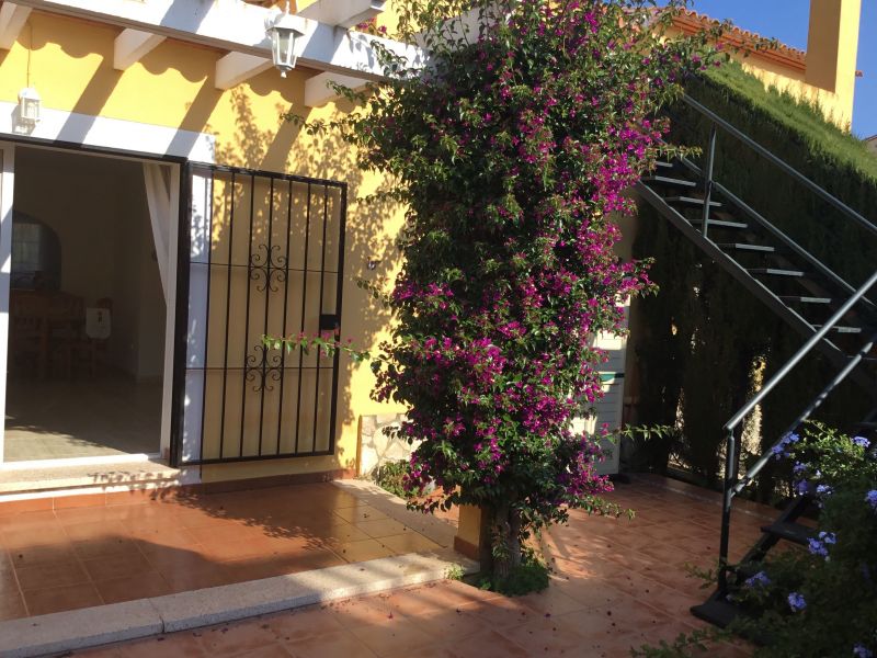 photo 19 Location entre particuliers Dnia maison Communaut Valencienne Alicante (province de) Terrasse 2