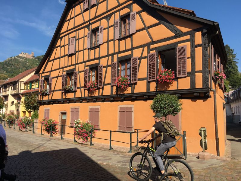 photo 19 Location entre particuliers Ribeauvill gite Alsace Haut-Rhin Vue  proximit