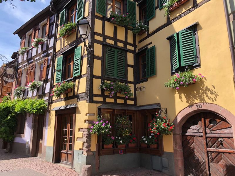 photo 22 Location entre particuliers Ribeauvill gite Alsace Haut-Rhin Vue  proximit