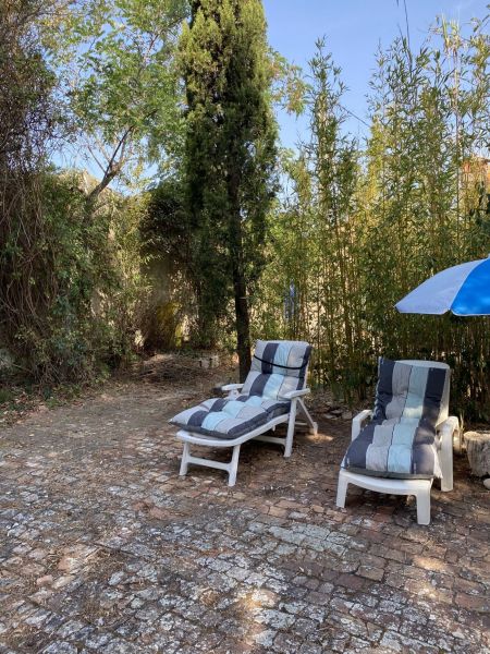 photo 8 Location entre particuliers La Ciotat maison Provence-Alpes-Cte d'Azur Bouches du Rhne Jardin