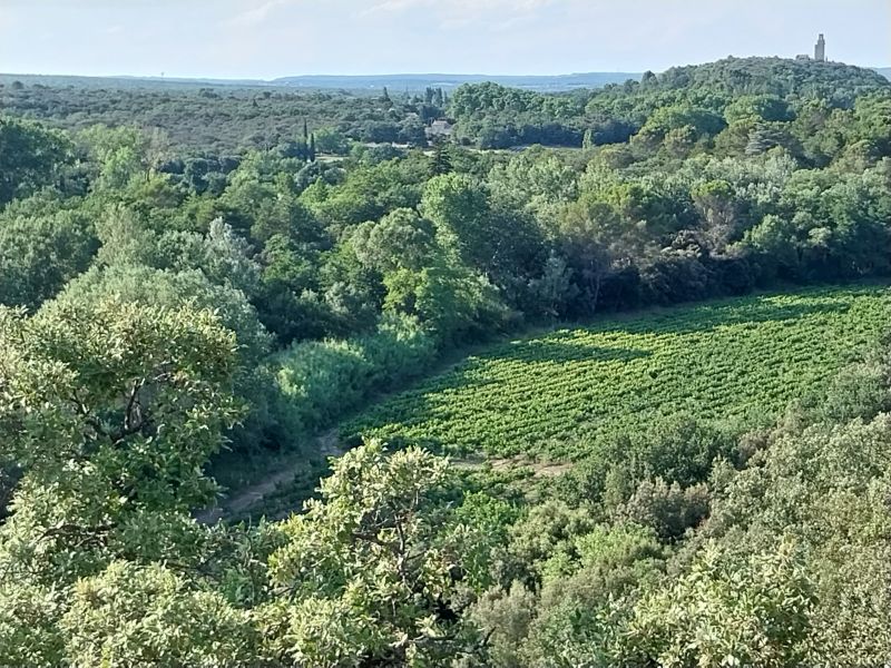 photo 10 Location entre particuliers Sainte-Ccile-les-Vignes mobilhome Provence-Alpes-Cte d'Azur Vaucluse Vue  proximit
