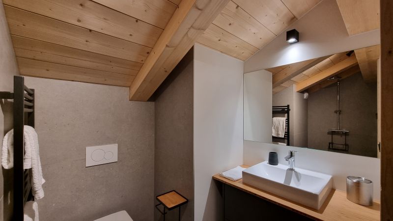 photo 15 Location entre particuliers Le Grand Bornand appartement Rhne-Alpes  salle de bain 3