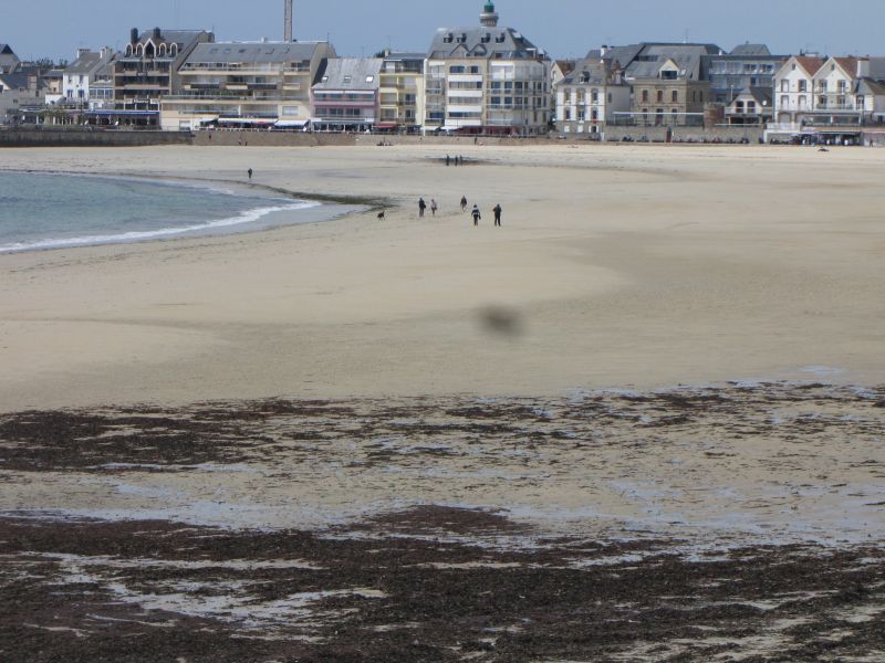 photo 13 Location entre particuliers Quiberon appartement Bretagne Morbihan Plage