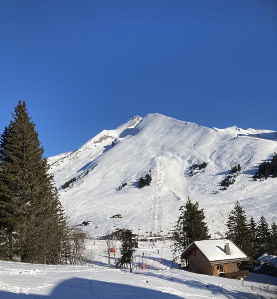 photo 18 Location entre particuliers Manigod-Croix Fry/L'tale-Merdassier studio Rhne-Alpes Haute-Savoie Vue du balcon