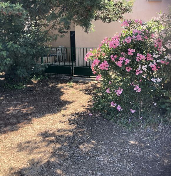 photo 15 Location entre particuliers Porto Vecchio appartement Corse Corse du Sud Jardin