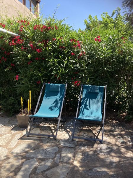 photo 3 Location entre particuliers Porto Vecchio appartement Corse Corse du Sud Jardin