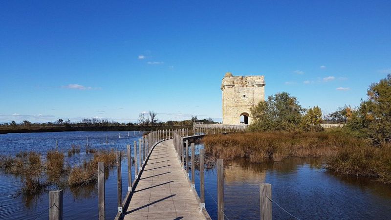 photo 23 Location entre particuliers Aigues Mortes villa Languedoc-Roussillon Gard Vue  proximit