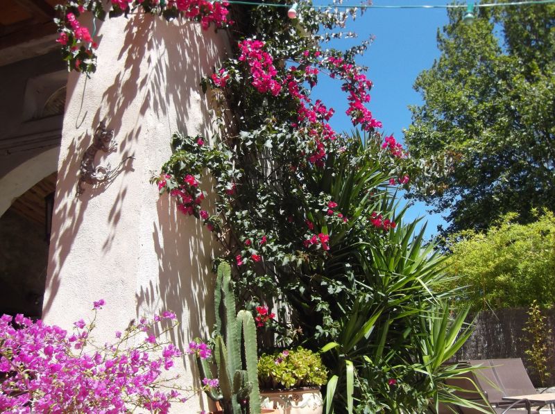 photo 19 Location entre particuliers Narbonne gite Languedoc-Roussillon Aude Jardin